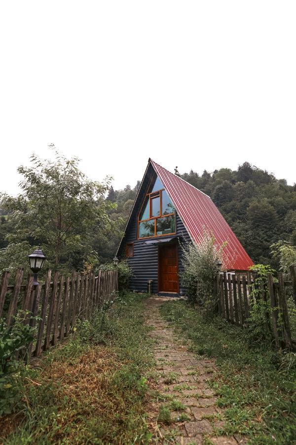 Bungalove Tatil Koeyue Çamlıhemşin Exterior foto